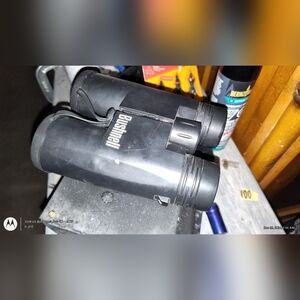 Bushnell binoculars